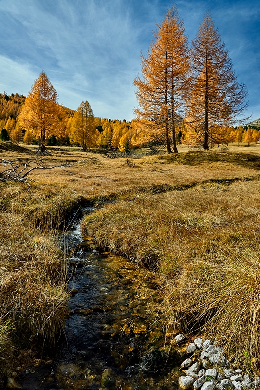 DSC_5290min.jpg - Passo Giau