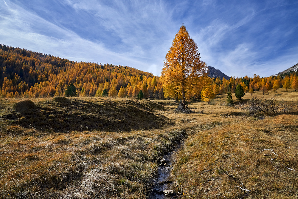 DSC_5300min.jpg - Monte Lagazuoi
