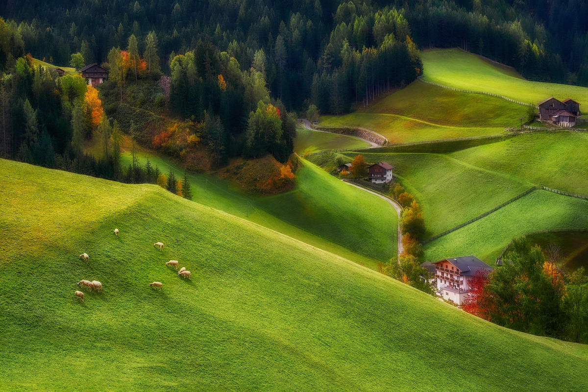 _DSC5303AMinB.jpg - Pazdziernik 2020_okolice St. Magdalena, Dolomity , Włochy