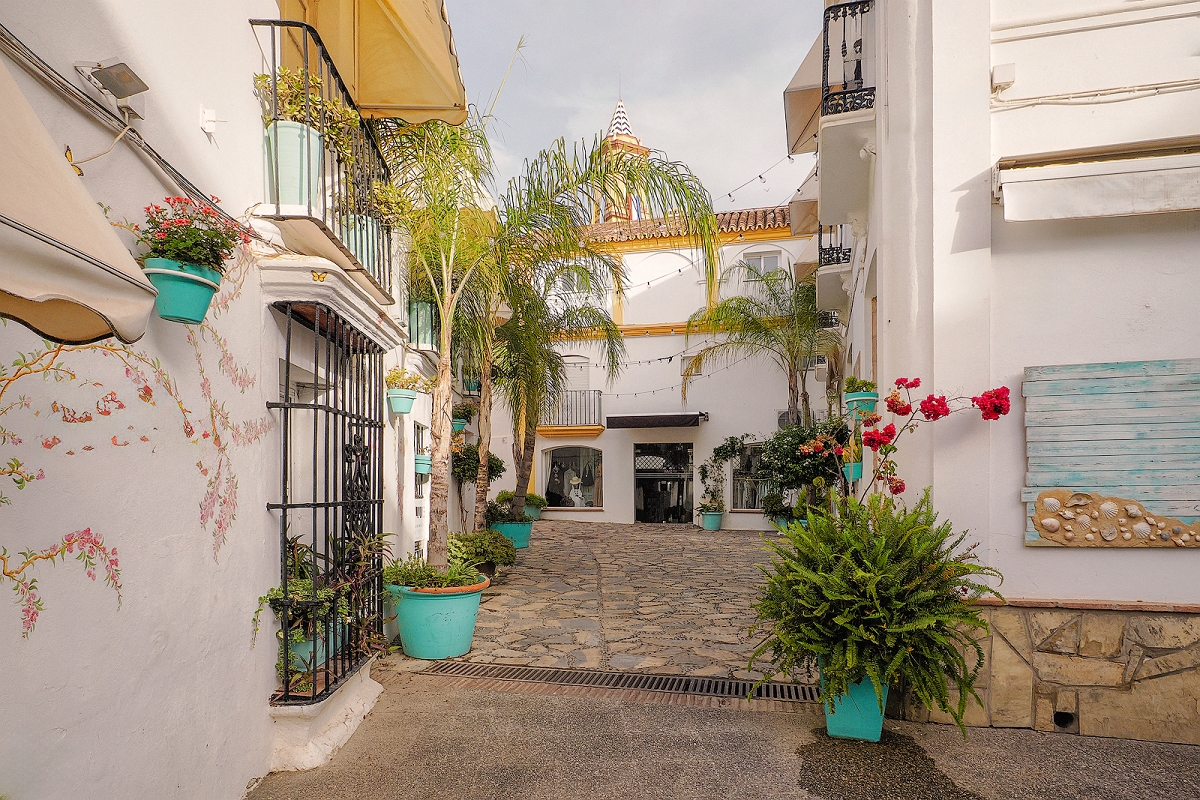 _6070381MinD.jpg - Estepona