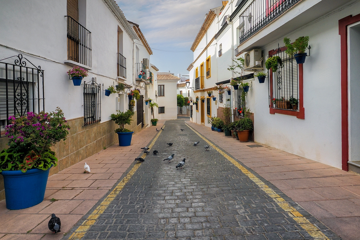 _6070415MinD.jpg - Estepona