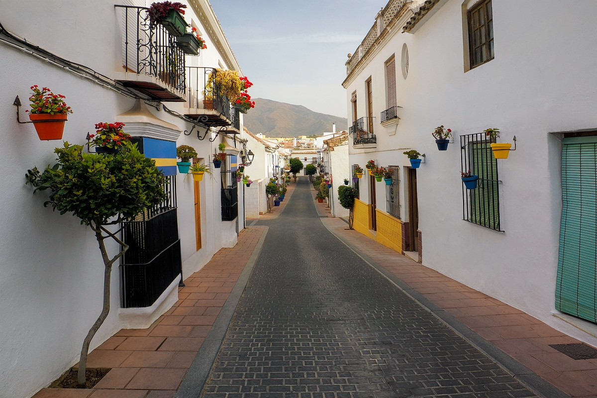 _6070467MinD.jpg - Estepona