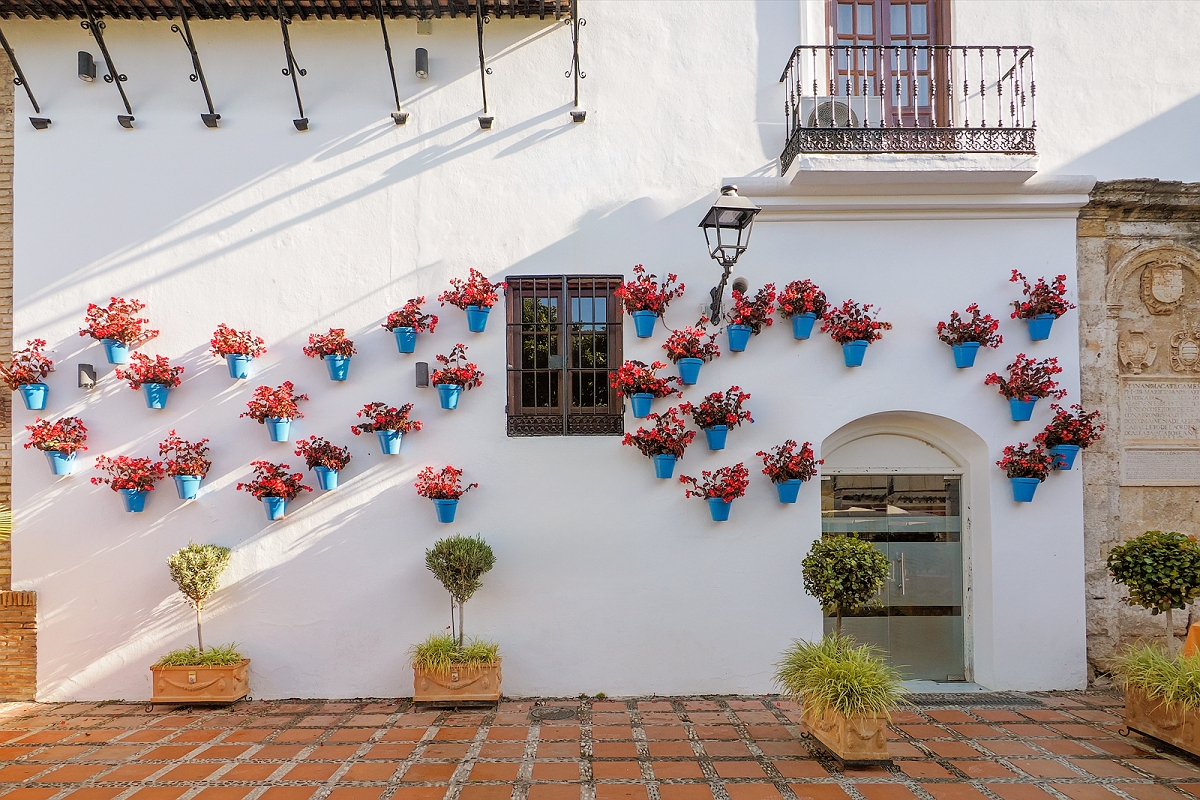 _6100680MinD.jpg - Marbella