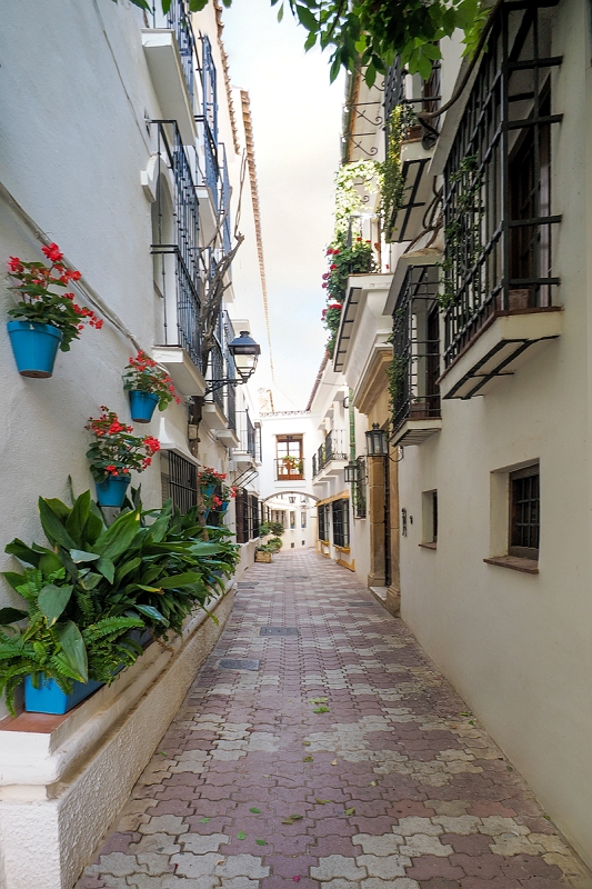 _6100687MinD.jpg - Marbella