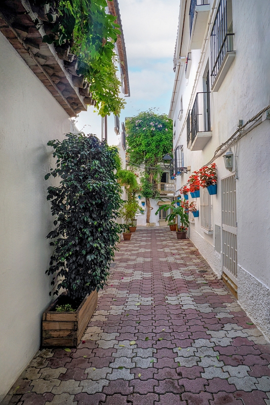 _6100688MinD.jpg - Marbella