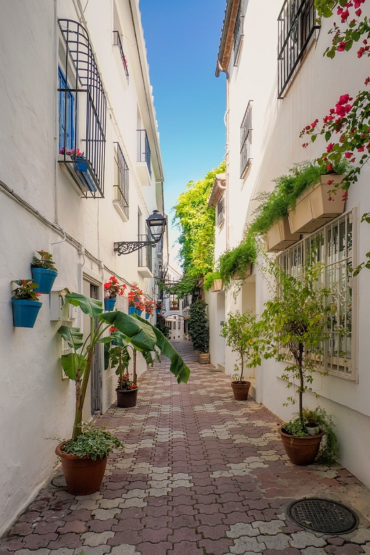 _6100711MinD.jpg - Marbella