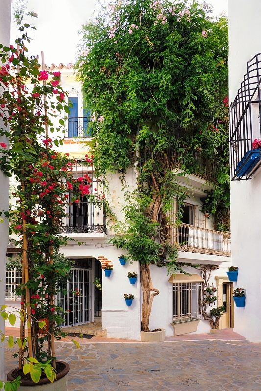 _6100716MinDk.jpg - Marbella