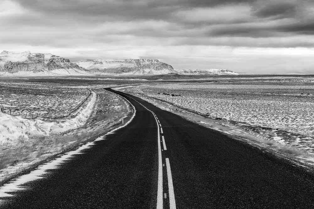 DSC_3834bwM.jpg - Islandia