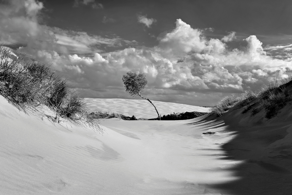 DSC_4379bwKM.jpg - Leba