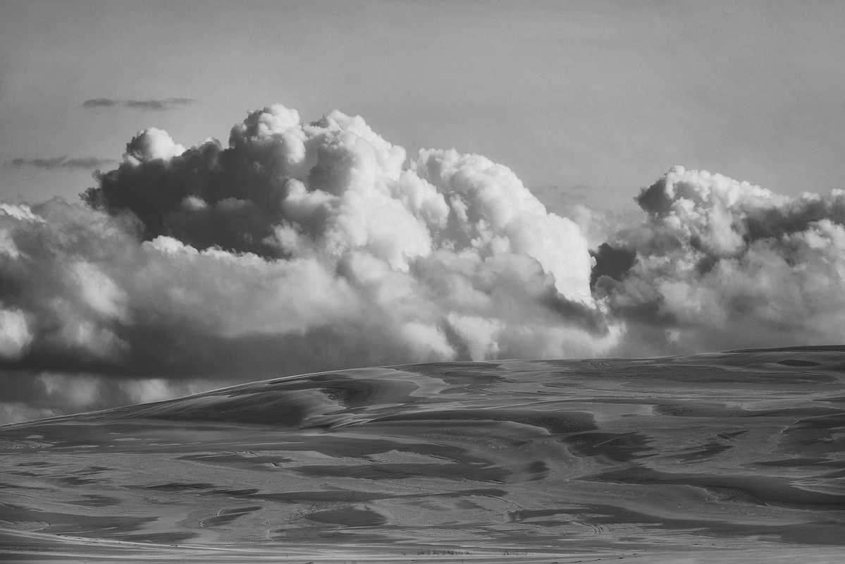 DSC_4555bwMinD.jpg - Na wydmie