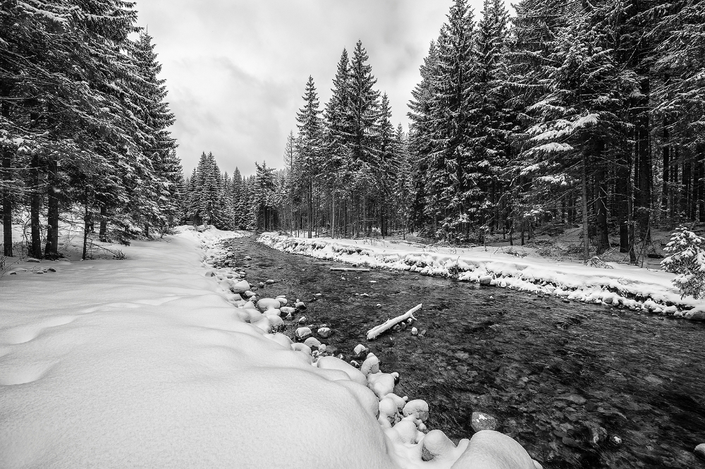 DSC_7140bwM.jpg - Dolina Choholowska, Tatry