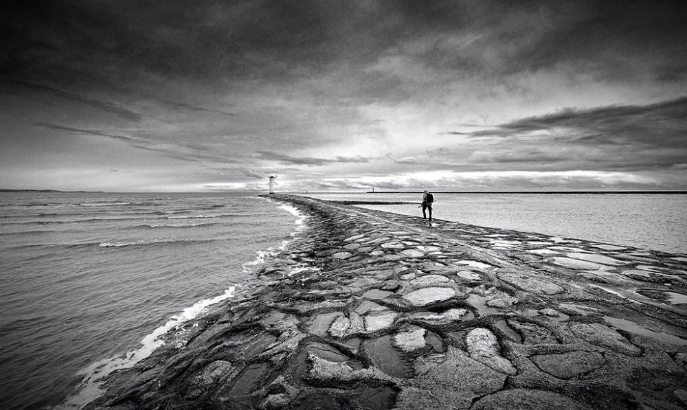 DSC_7522bwCropWinBlur.jpg - * Wędrowiec *