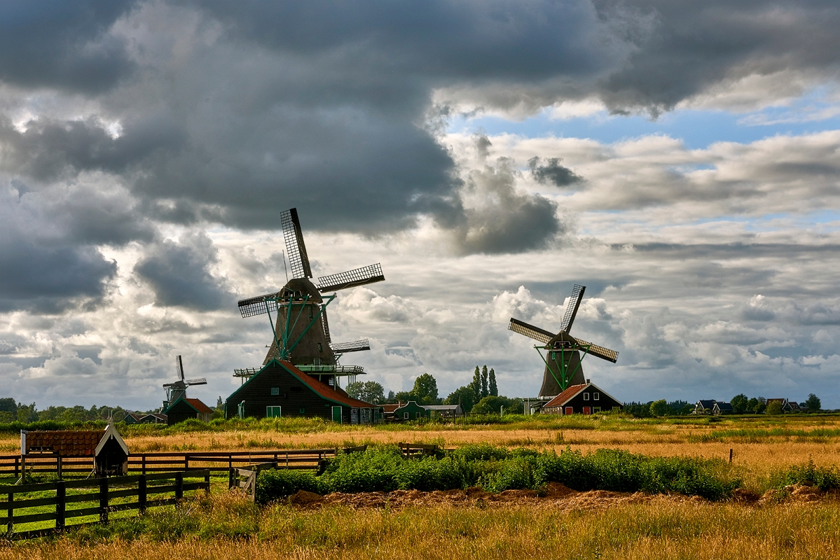 DSC_2106MinD.jpg - Zaandam Holandia