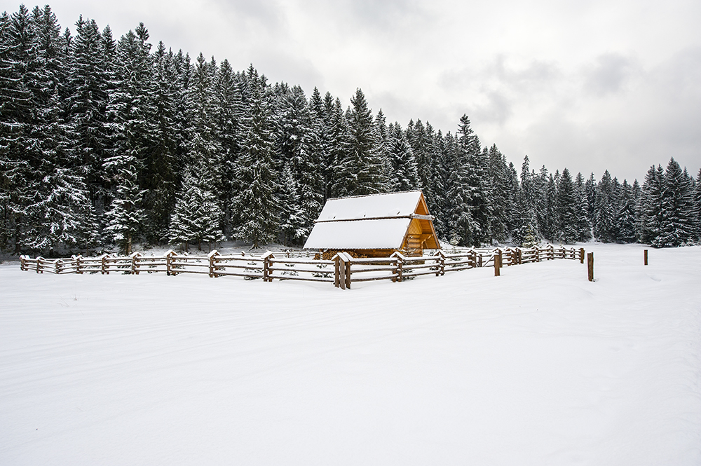 DSC_7118min.jpg - Chatka