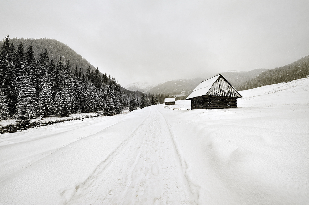 DSC_7171ka.jpg - * Dolina Choholowska *