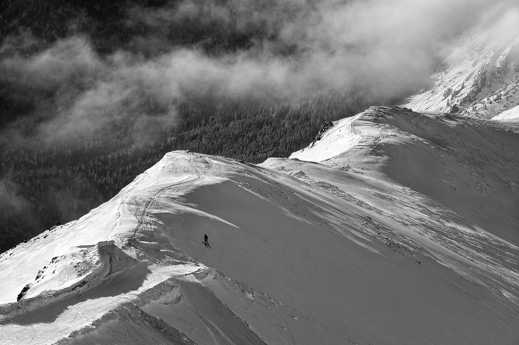 DSC_8039ka1M.jpg - * Narciarz *