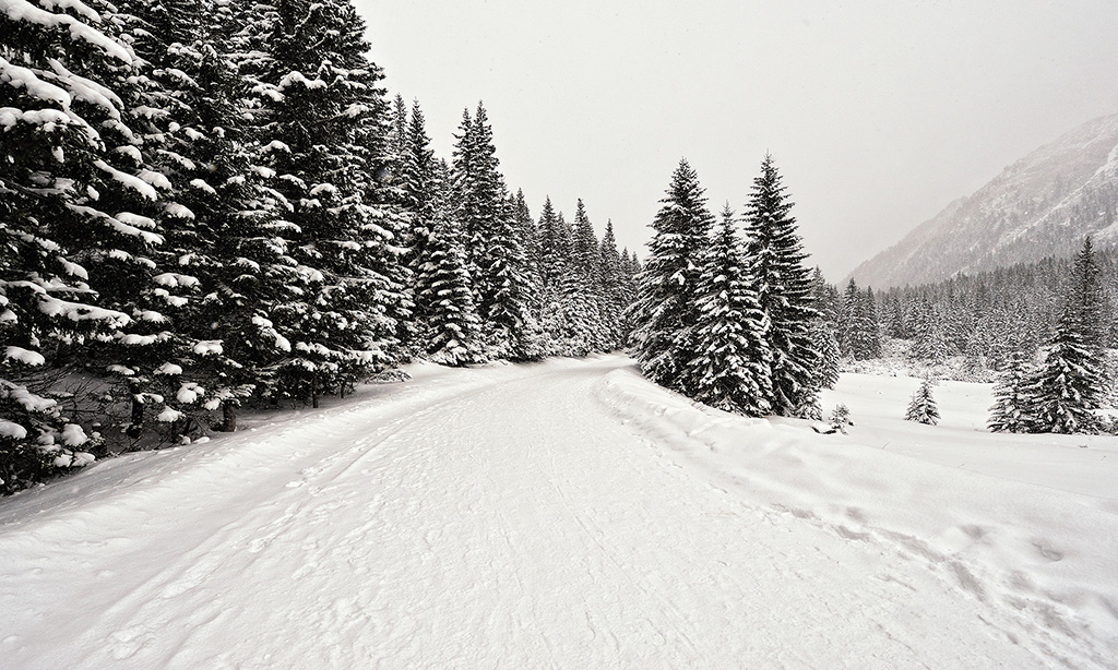 DSC_8349crop.jpg - * Bez swiatla, styczen 2011, droga z Morskiego Oka *