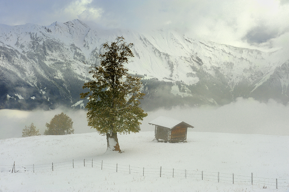 DSC_9856kmin.jpg - Szwajcaria , Axalp