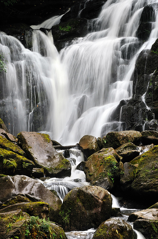 DSC_0300k1.jpg - * Torc Waterfall * - wodospad  jest atrakcją turystyczną, okolice Killarney w hrabstwie Kerry