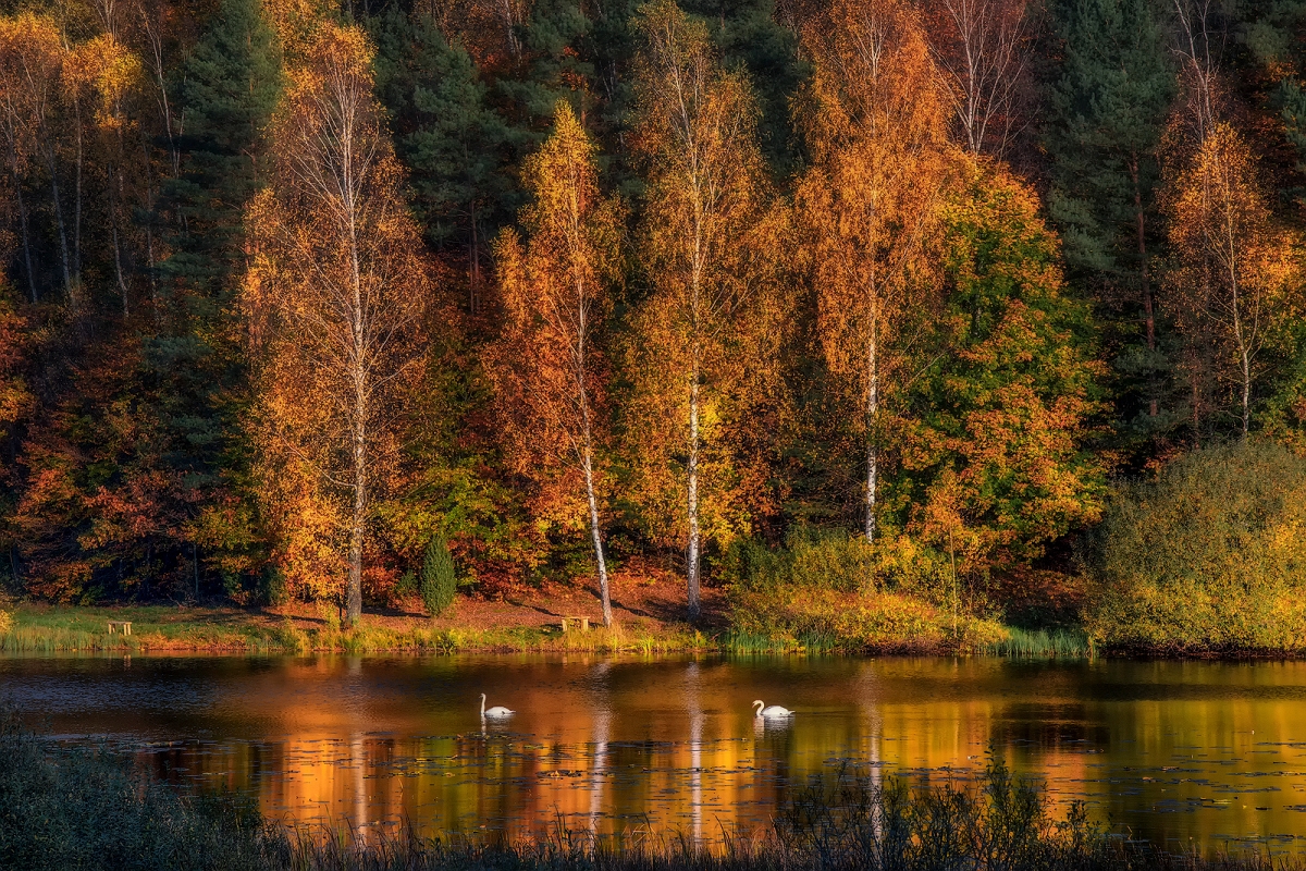 DSC_1767AMinDk.jpg - Nad stawem