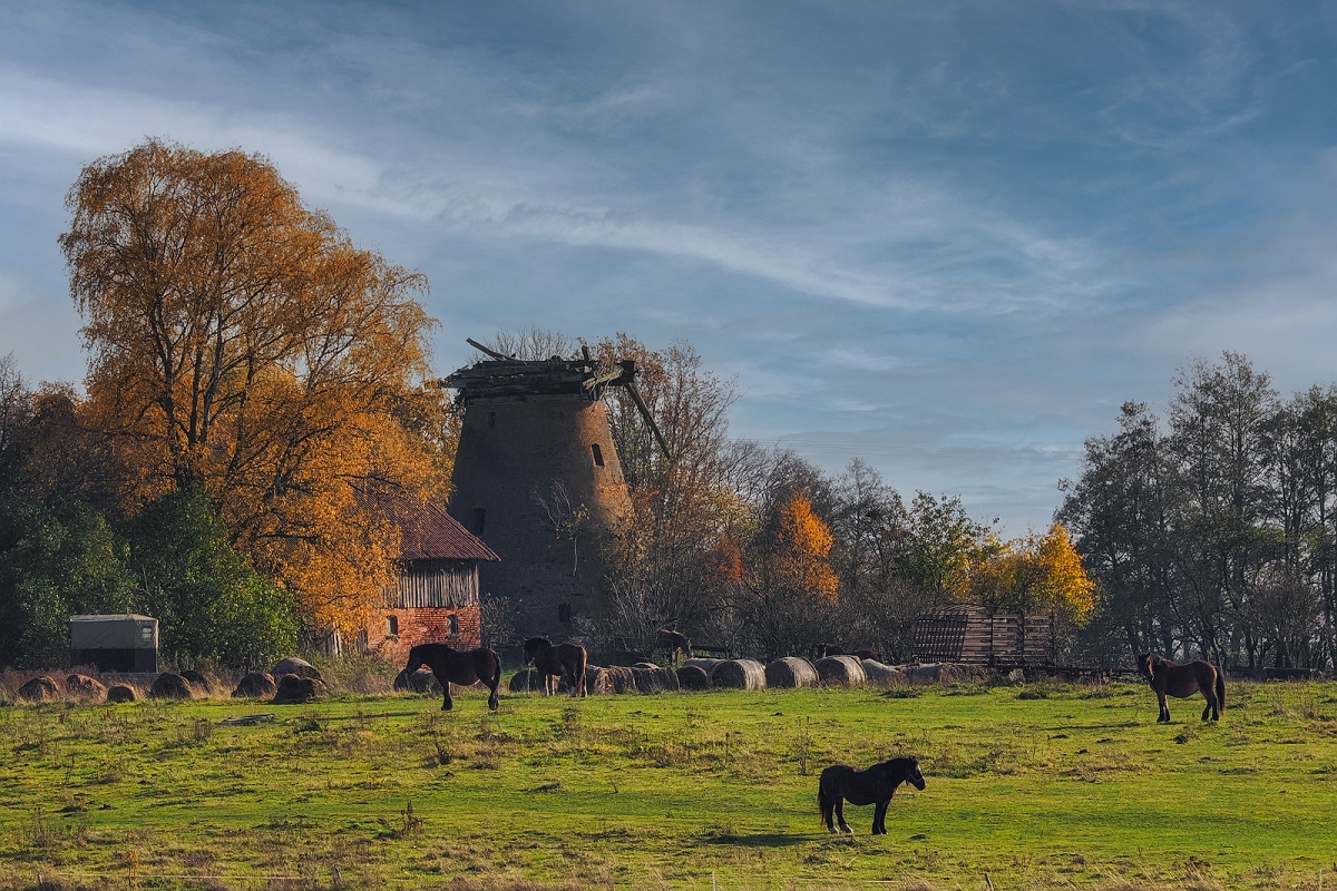 _B050145MinDA.jpg - Stary wiatrak