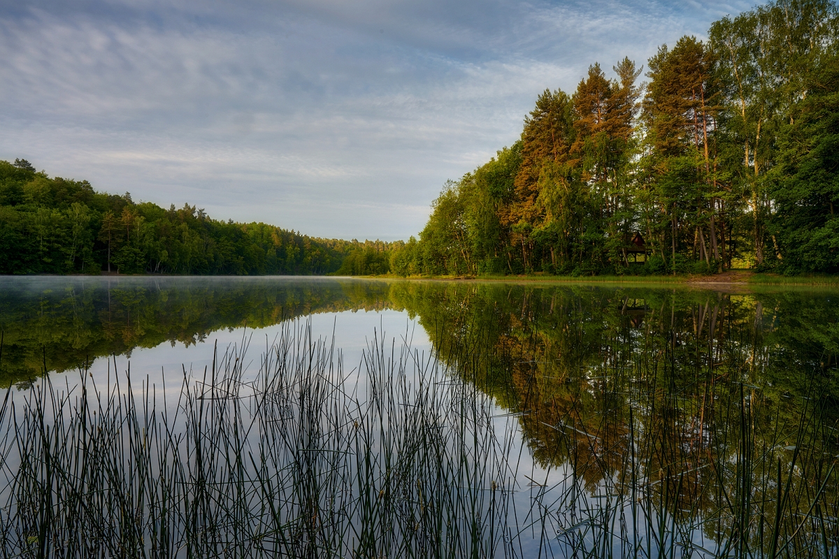 _DSC0849MinD.jpg - Poranek na Kaszubach