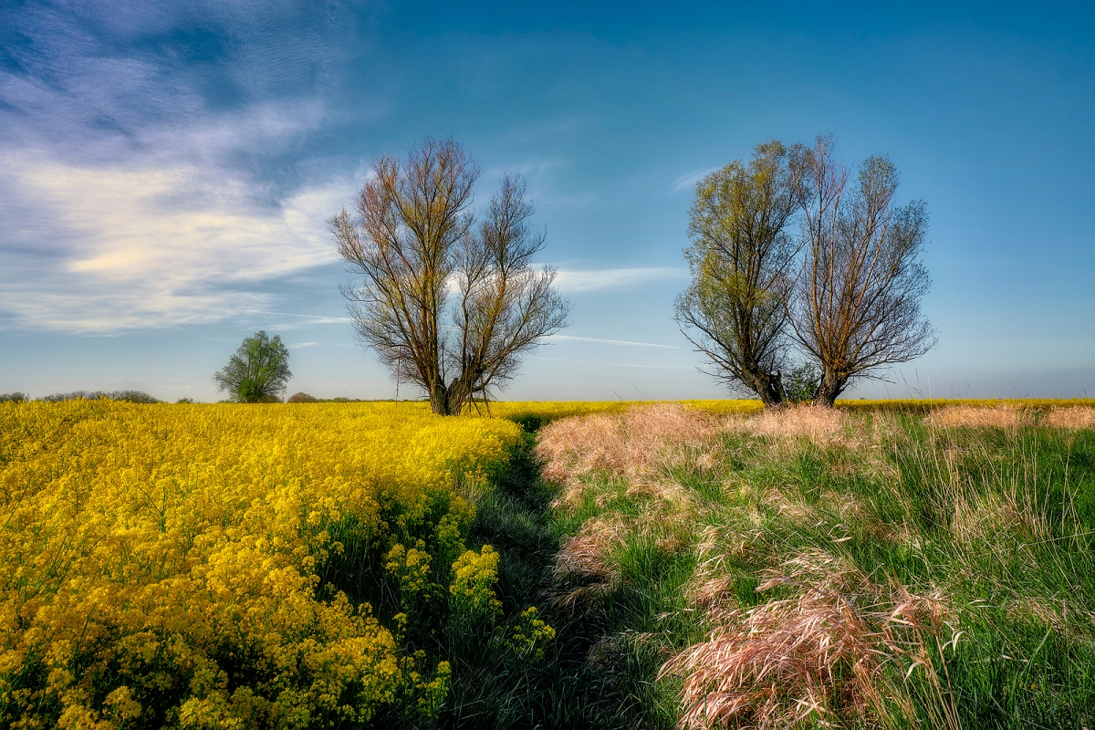 _DSC0965wyjscBMinD.jpg - Zulawy