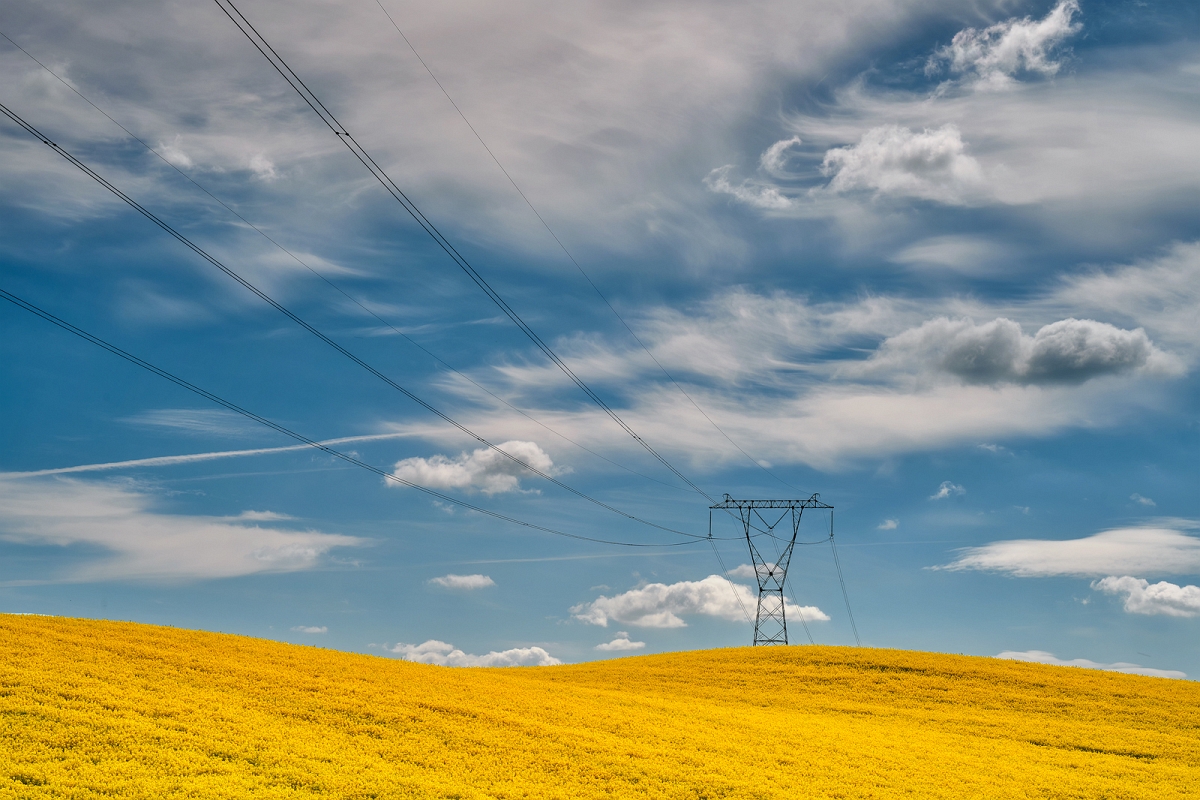 _DSC1245AMinD.jpg - "Windows"