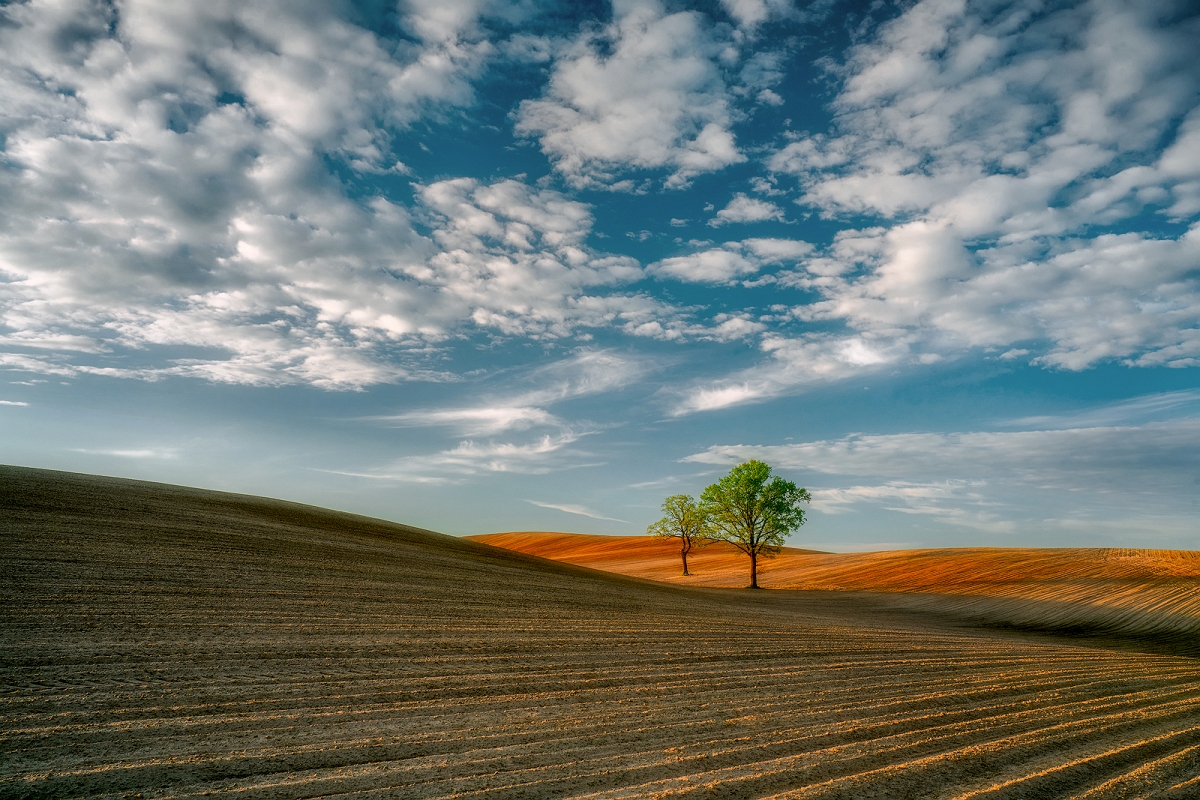 _DSC1698B.jpg - Deby