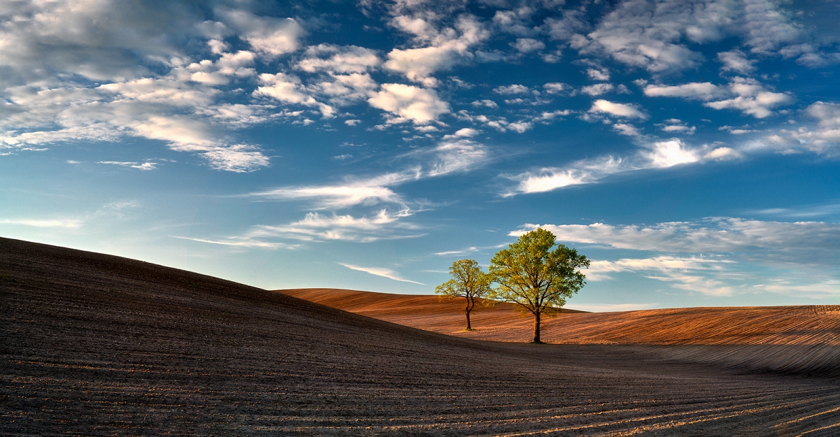 _DSC1716PanMinD.jpg - Deby