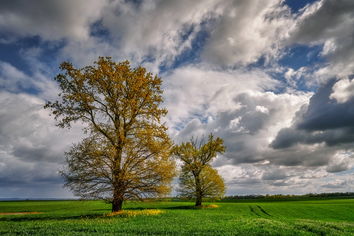 _DSC1805ortonMinD.jpg - W chmurach