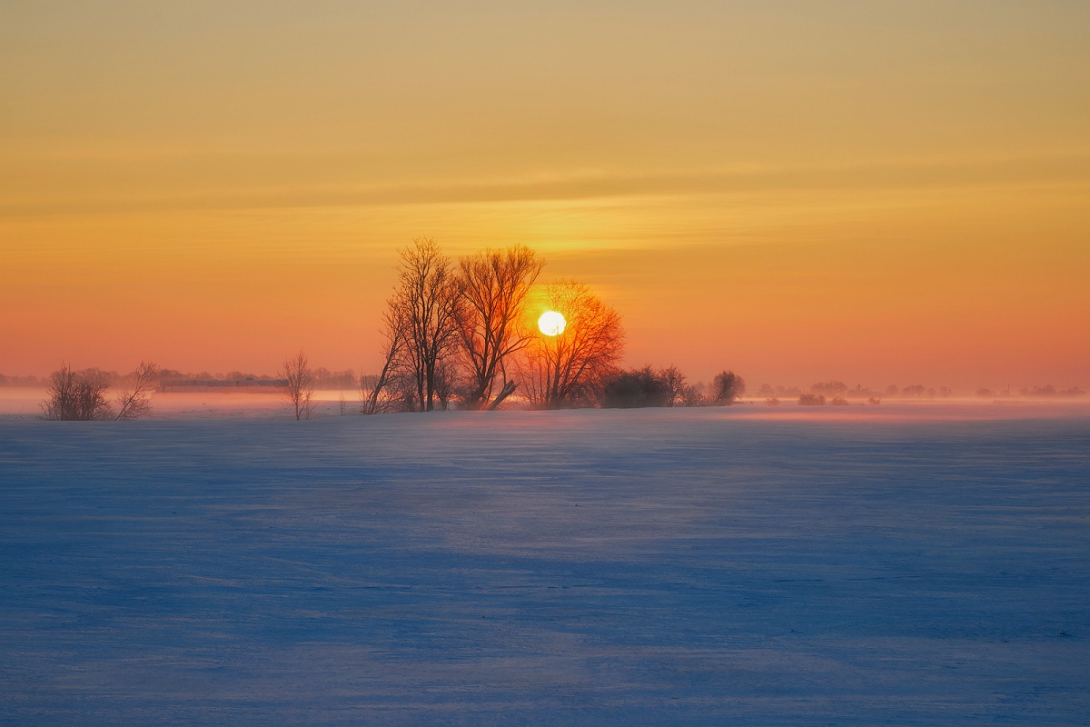 _DSC6009MinD.jpg - Mrozny poranel, Zuławy