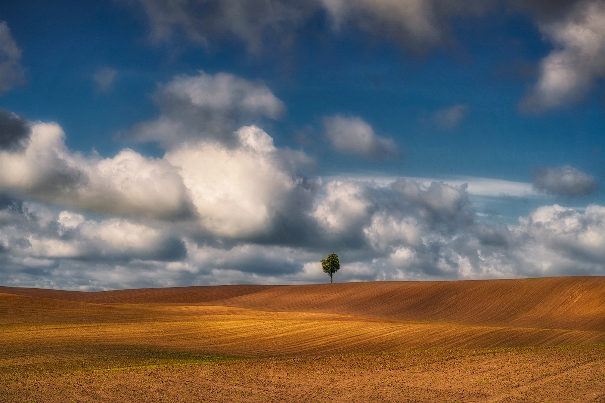 _DSC7053BaMinDk.jpg - Samotne