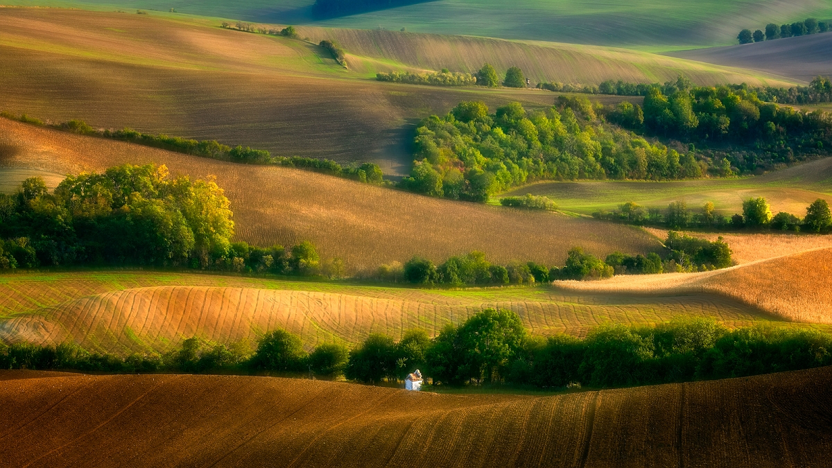 DSC_3277PanWyjscMinD.jpg - Morawy 2017