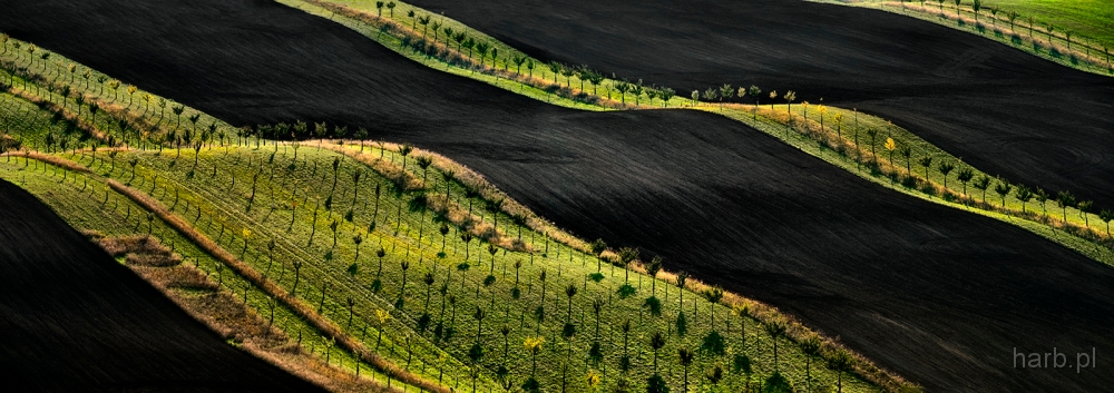 DSC_3640PanoramaKminD.jpg - Morawy 2017