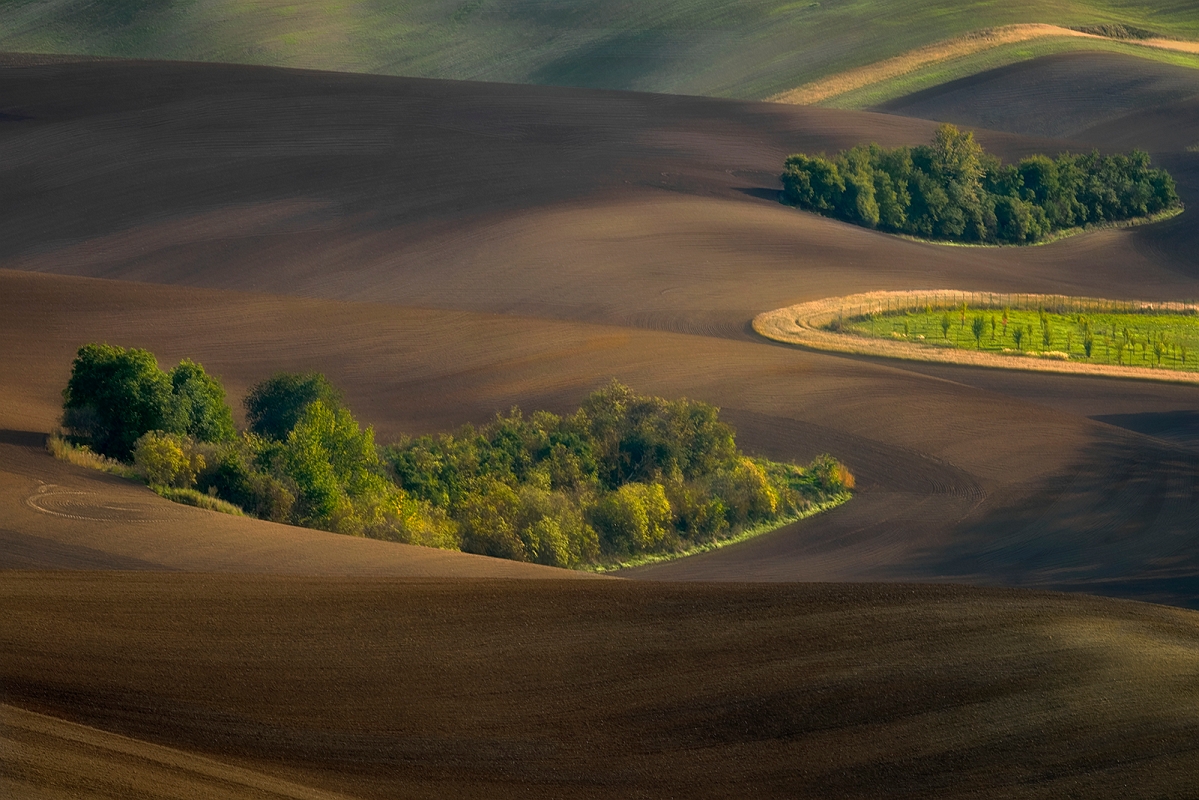 DSC_3644kminD.jpg - Morawskie pola