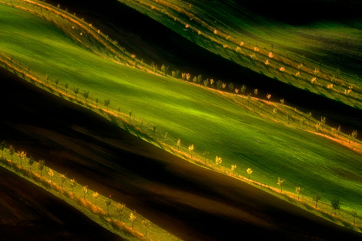 DSC_3665LuminarMinD.jpg - Morawskie dywany