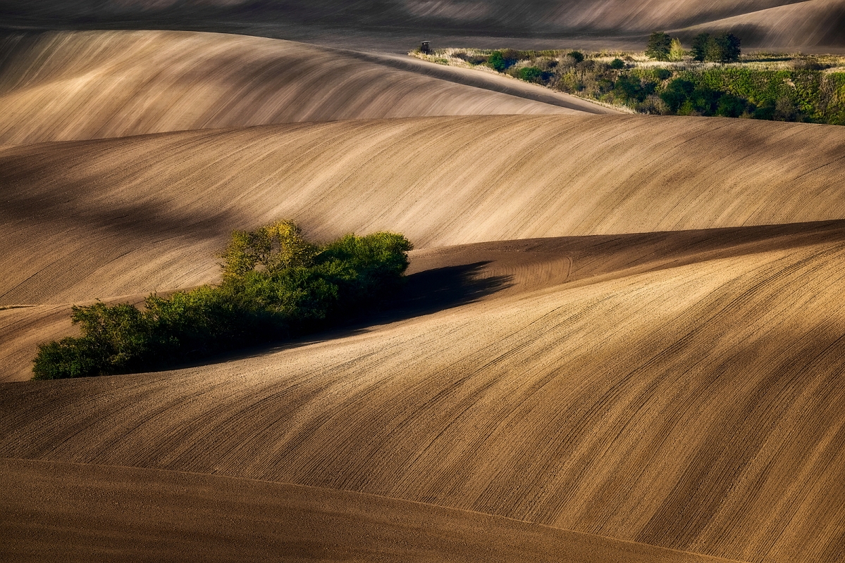 DSC_4009Ostateczny BMinD.jpg - Morawy 2017