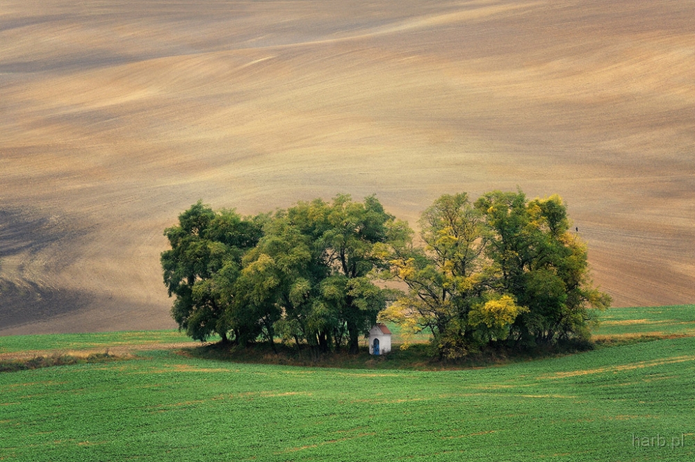 DSC_4301a.jpg - * Morawy, pazdziernik 2010 *