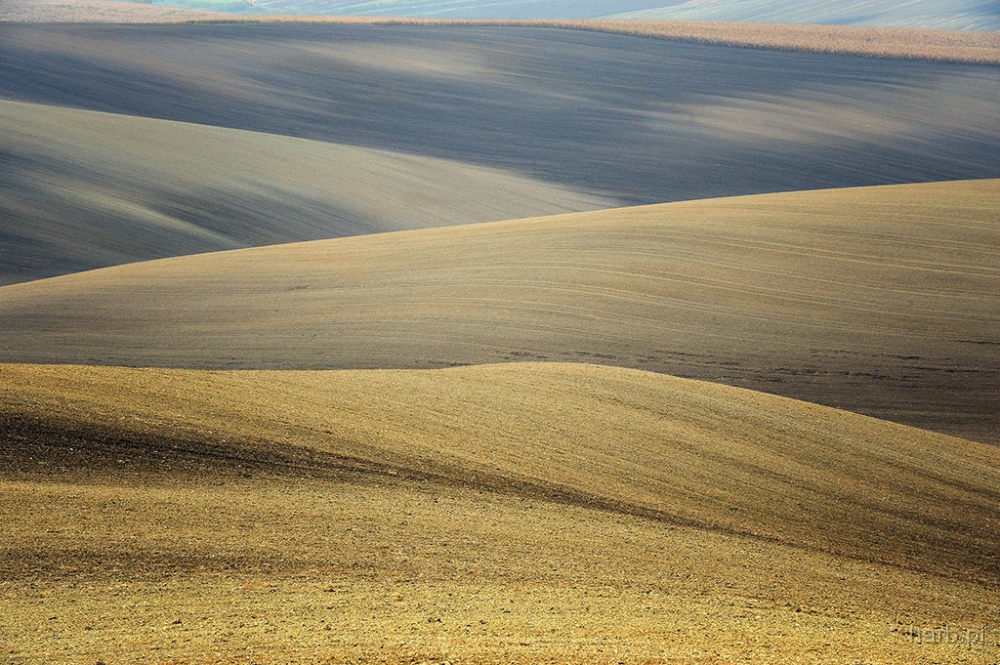 DSC_5162K.jpg - * Morawy, pazdziernik 2010 *