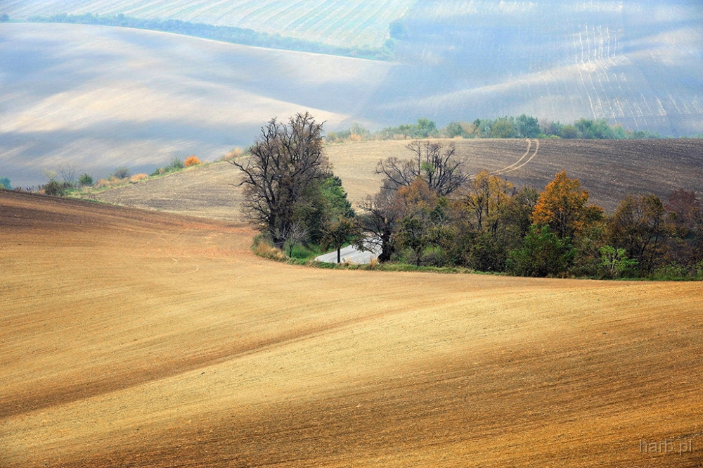DSC_5164ka1.jpg - * Morawy, pazdziernik 2010 *