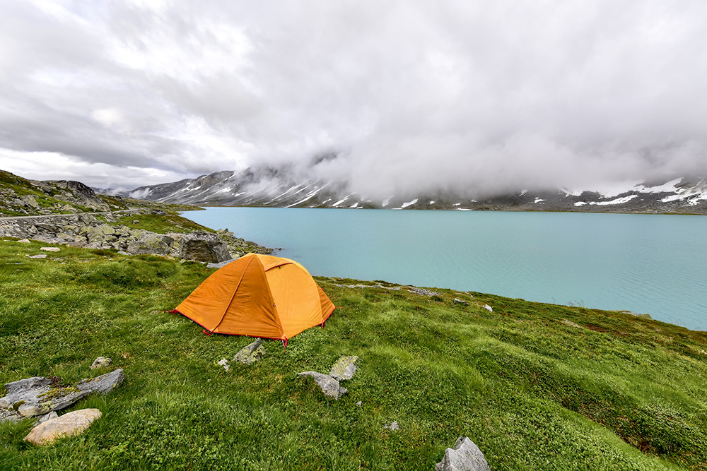 DSC_1146min.jpg - *