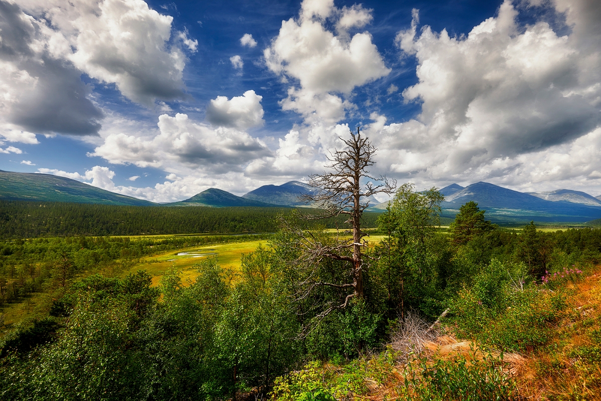 DSC_3340BMinD.jpg - Natura