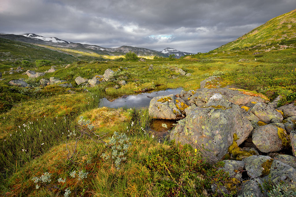 DSC_5148kmin.jpg - * W gorach *