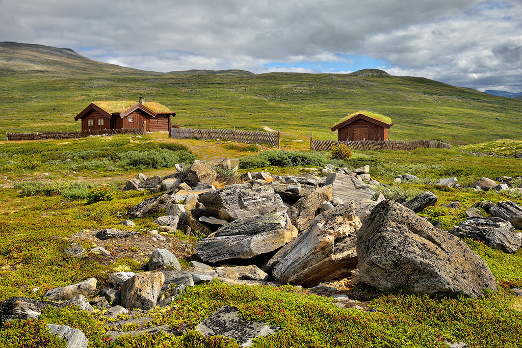 DSC_5462kmin.jpg - * Norweskie domki *