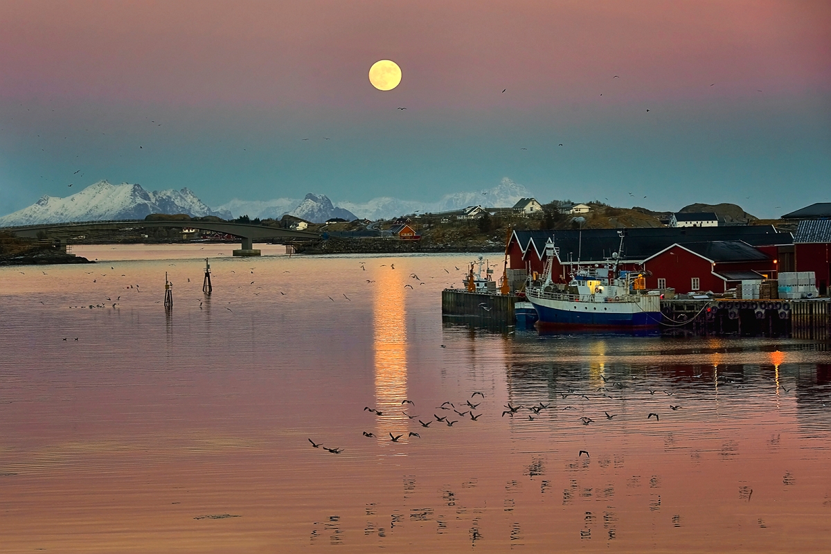 DSC_7168PkminD.jpg - *  Reine  *