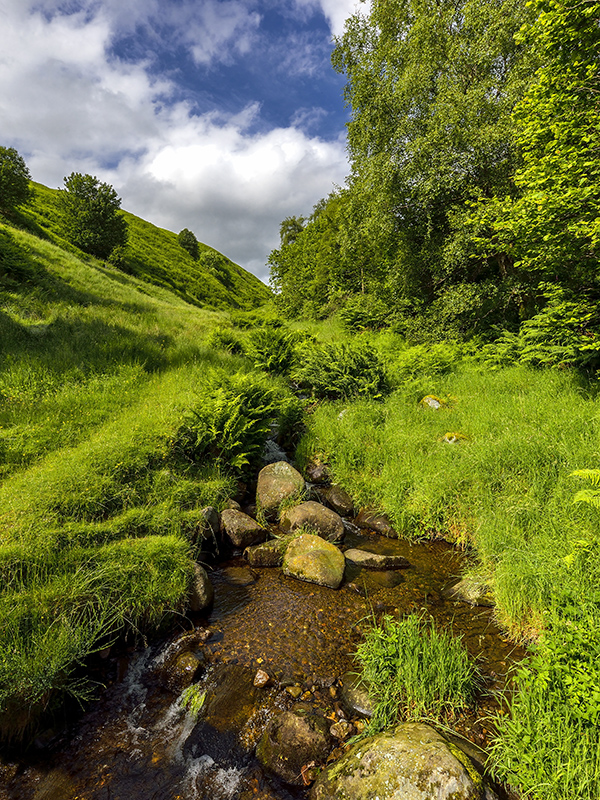 DSC_2438pionMin.jpg - * Potok *