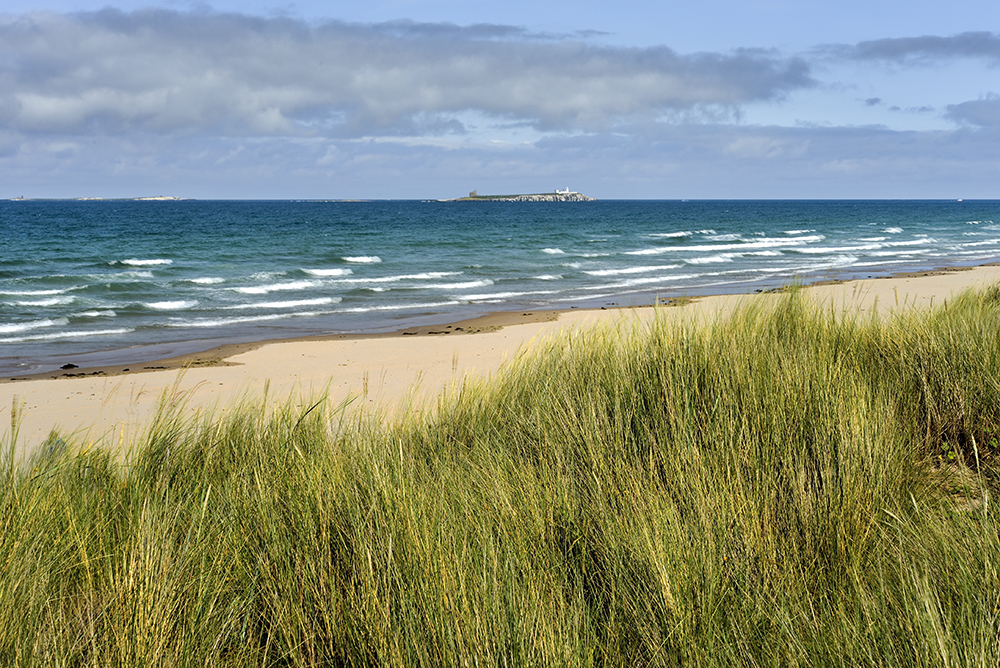 DSC_3108min.jpg - * Northumberland, Anglia - w głebi latarnia morska *