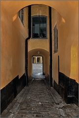 DSC_1949