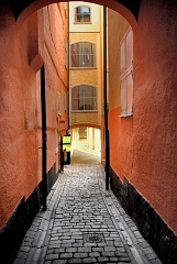 DSC_1960